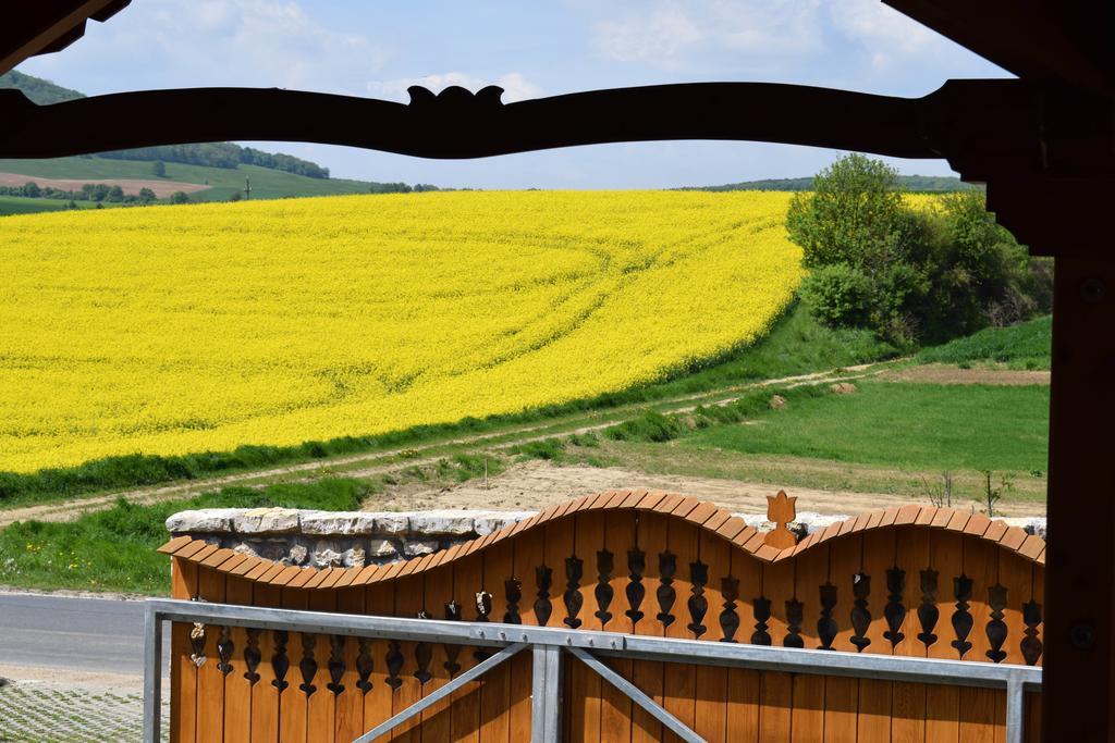 Tiszafa Vendégház Szentgál Esterno foto